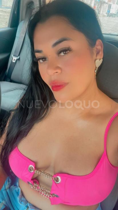 NuevoLoquo3