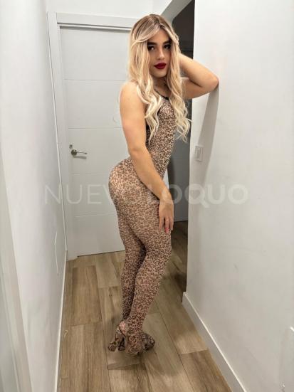 NuevoLoquo1