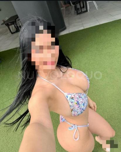 NuevoLoquo3