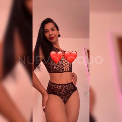 NuevoLoquo3