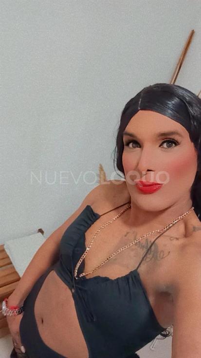 NuevoLoquo2