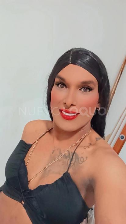 NuevoLoquo3
