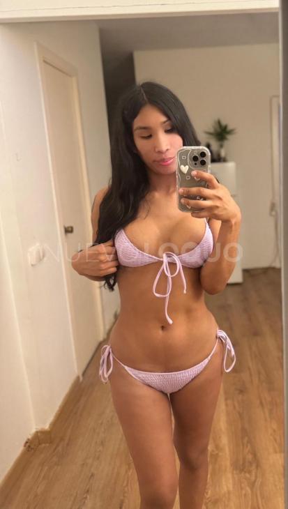 NuevoLoquo1