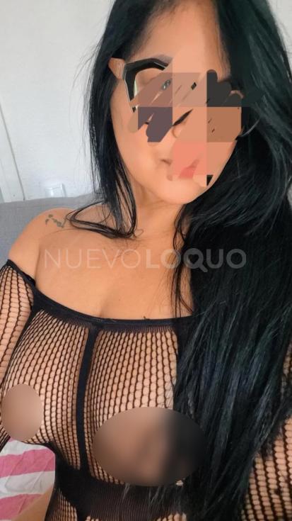 NuevoLoquo3