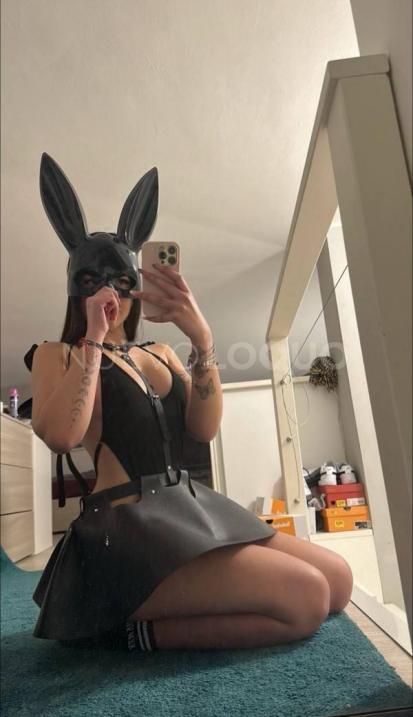 NuevoLoquo1
