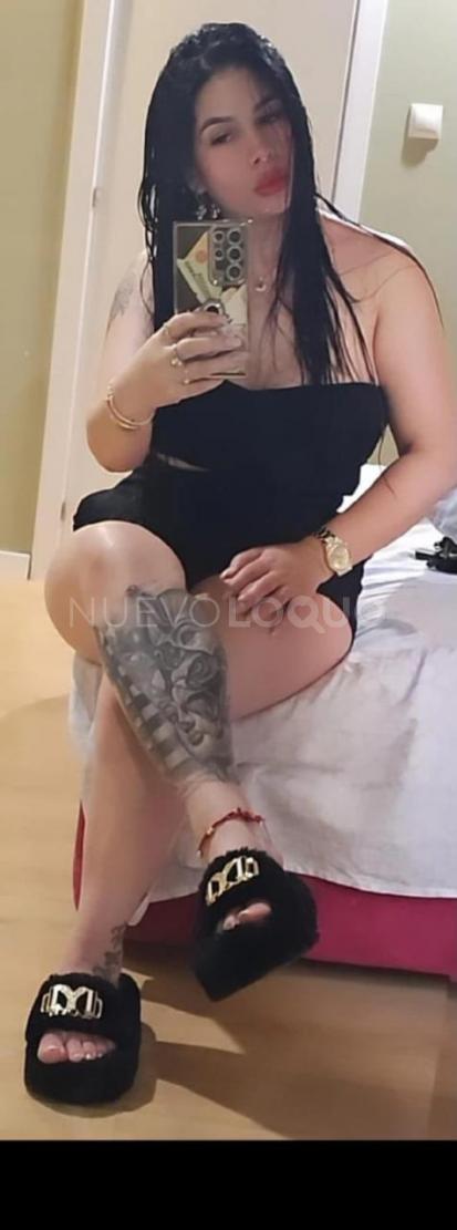 NuevoLoquo2
