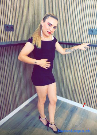 NuevoLoquo2