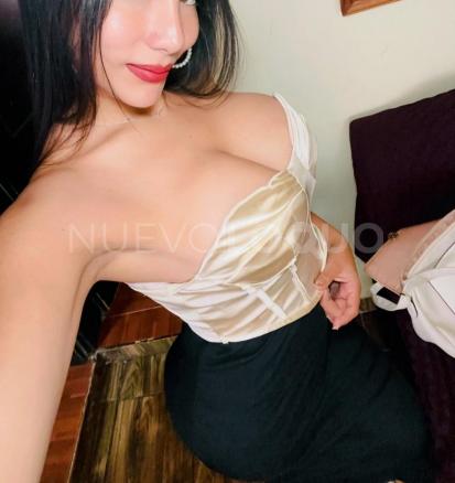 NuevoLoquo1