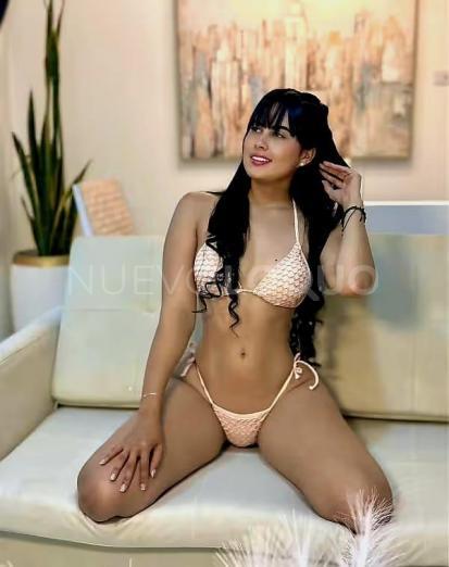 NuevoLoquo2