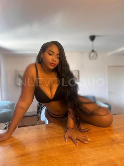 NuevoLoquo1