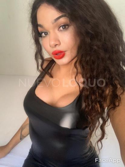NuevoLoquo3