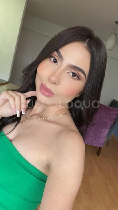 NuevoLoquo4