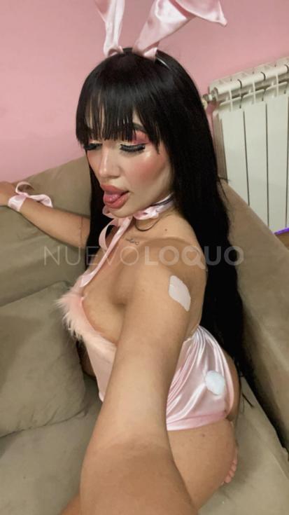NuevoLoquo3