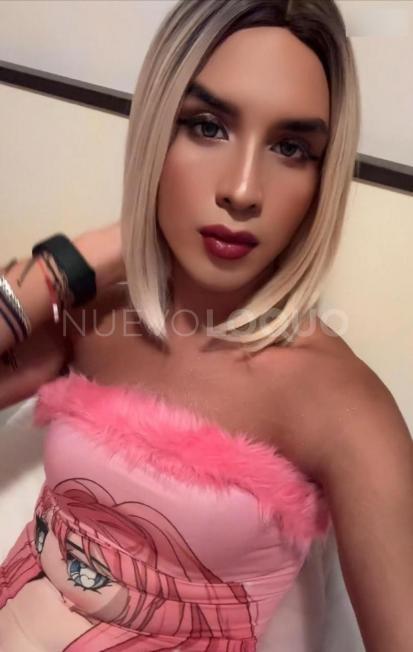 NuevoLoquo1