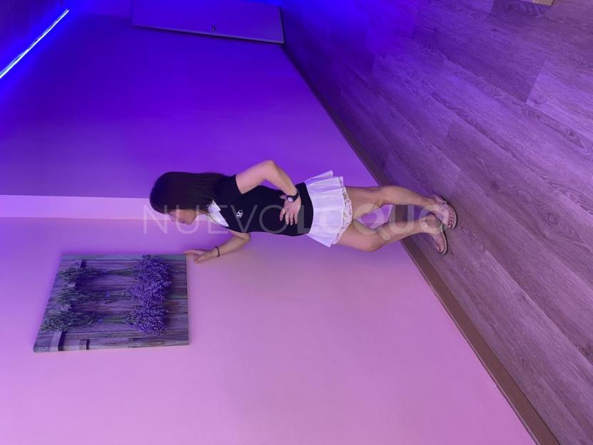 NuevoLoquo3
