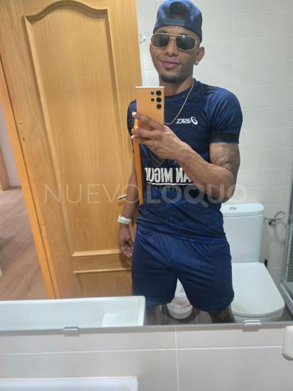 NuevoLoquo3