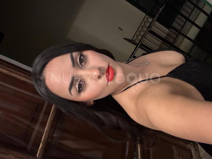 NuevoLoquo3
