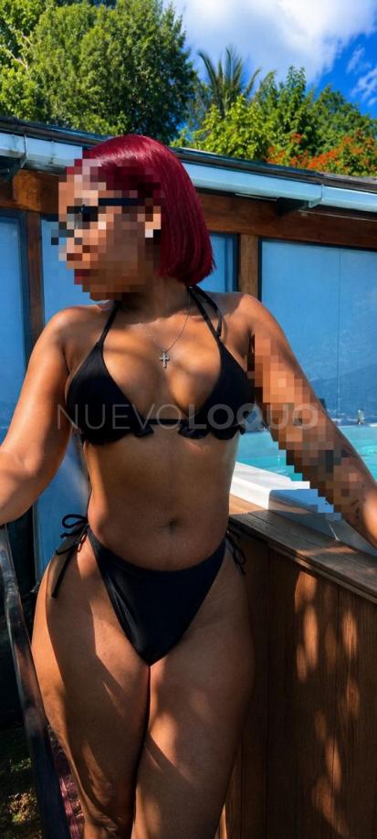NuevoLoquo2