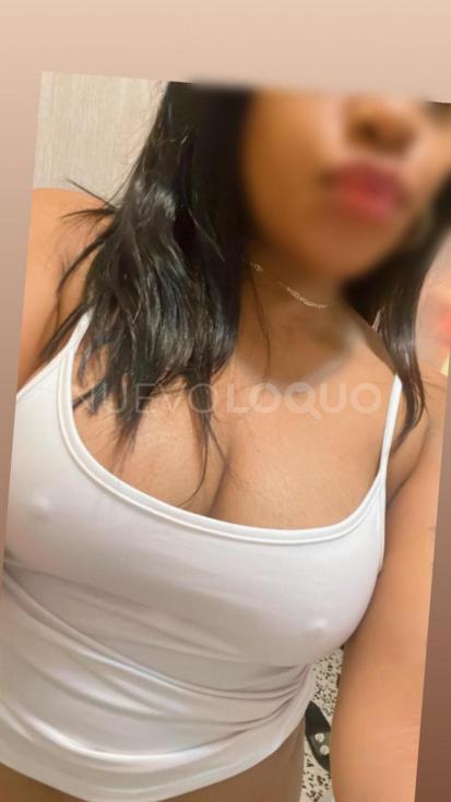 NuevoLoquo3
