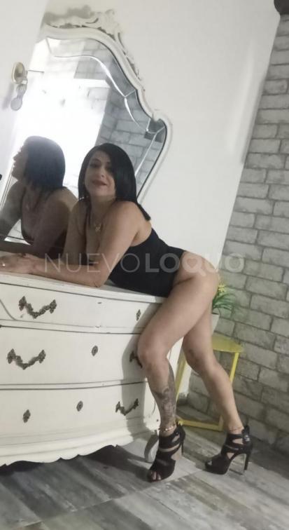 NuevoLoquo1