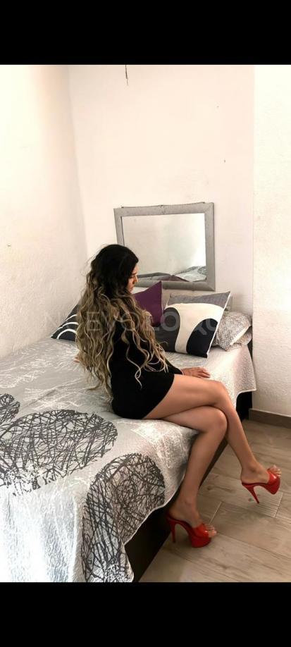 NuevoLoquo3