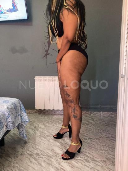 NuevoLoquo3
