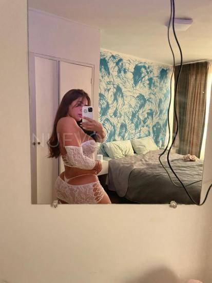 NuevoLoquo3