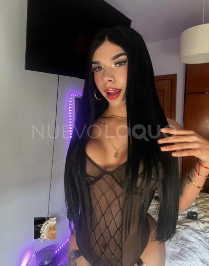 NuevoLoquo1