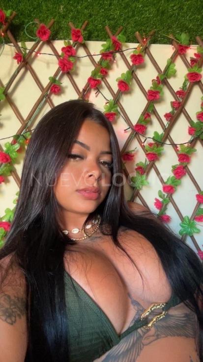 NuevoLoquo4