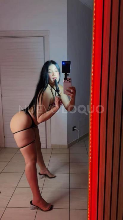 NuevoLoquo2