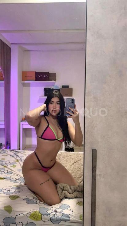 NuevoLoquo3
