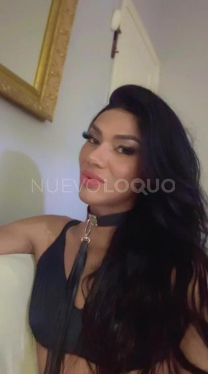 NuevoLoquo3