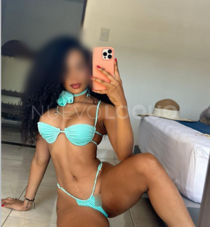 NuevoLoquo2