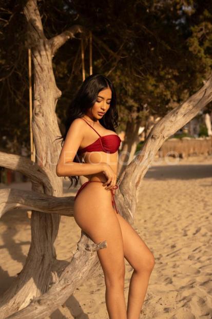 NuevoLoquo3