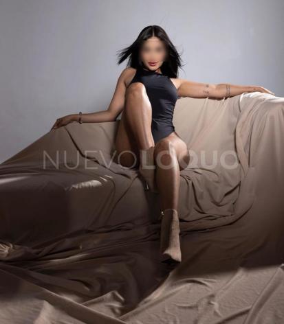 NuevoLoquo3