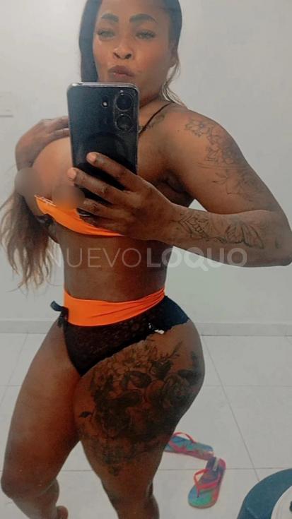 NuevoLoquo3