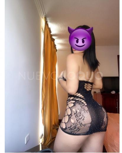 NuevoLoquo2