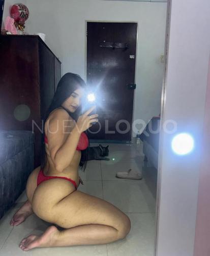 NuevoLoquo2