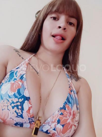 NuevoLoquo4