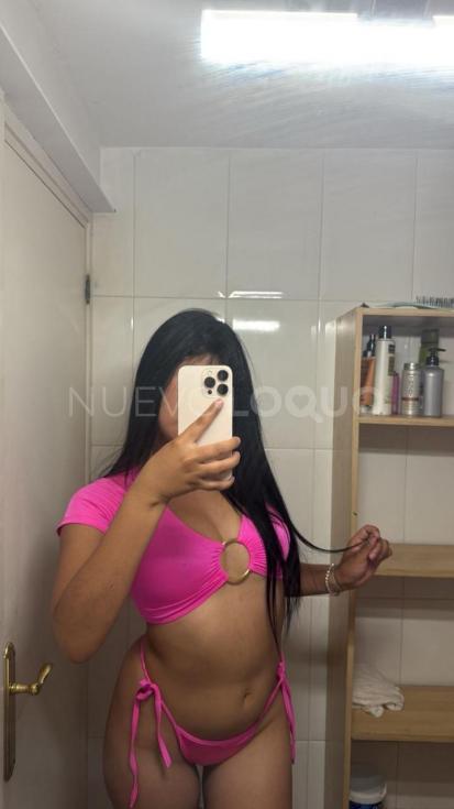 NuevoLoquo2