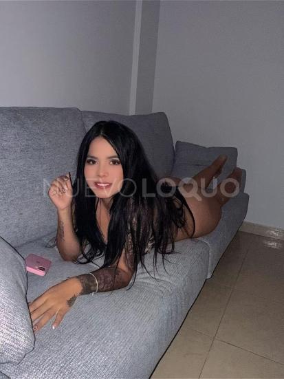 NuevoLoquo3