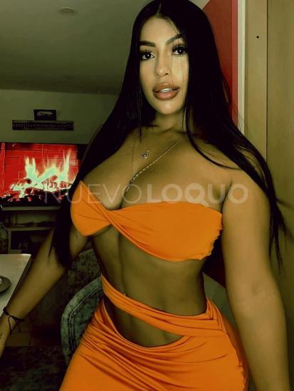 NuevoLoquo3
