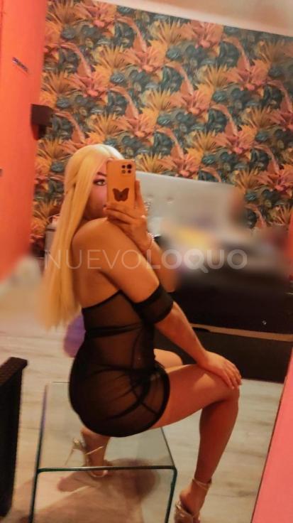 NuevoLoquo3