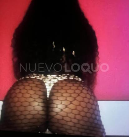 NuevoLoquo2