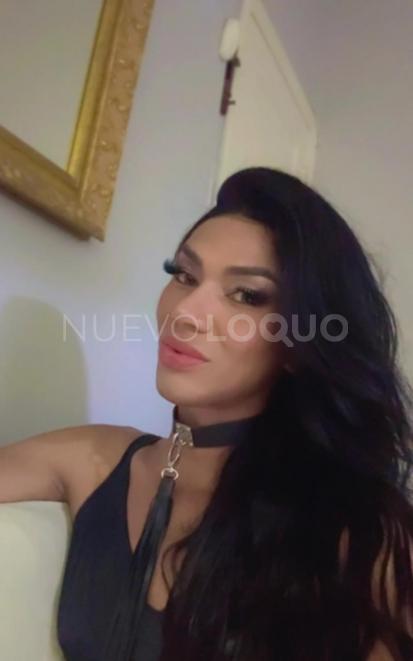 NuevoLoquo3