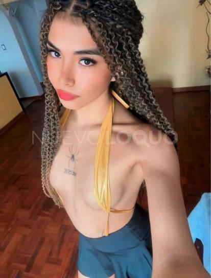 NuevoLoquo3