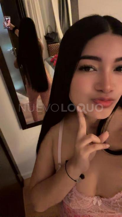 NuevoLoquo3