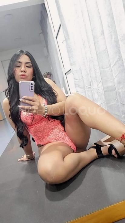 NuevoLoquo3