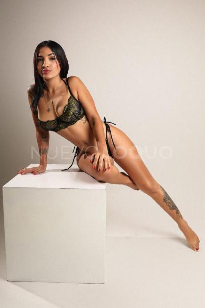 NuevoLoquo3