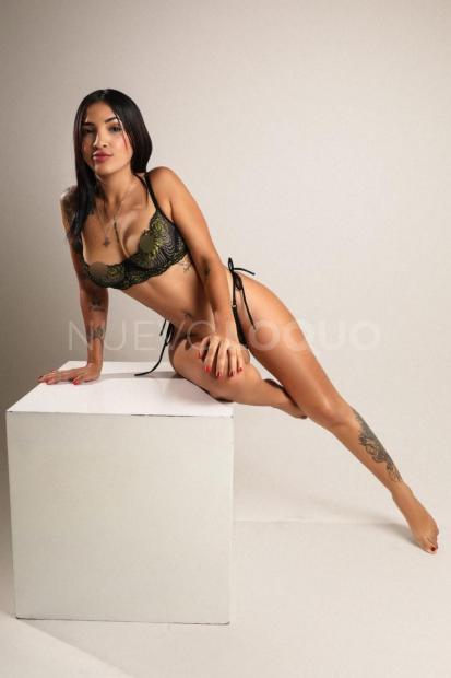 NuevoLoquo3
